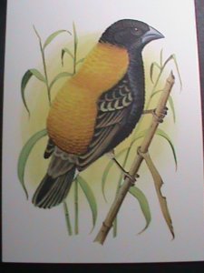 ST. THOMAS 1979 PREPAID COLORFUL LOVELY BIRDS-NATIONAL ARMS POST CARD-MNH VF