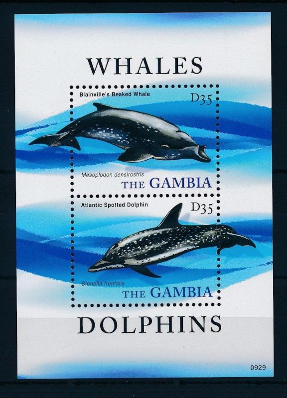 [32217] Gambia 2010 Marine Life Whale Dolphin MNH Sheet