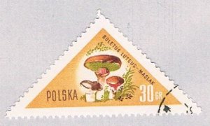 Poland 843 Used Mushrooms 30 1959 (BP41106)