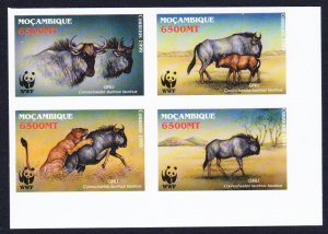 Mozambique WWF Blue Wildebeest Imperf Block of 4 WWF 2000 MNH SC#1377 a-d