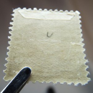 US 1895 # 256 dull brown 6¢ Garfield Mint MH OG Fresh Stamp CV$160