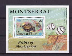 SA12i Montserrat 1991 Fish mint minisheet