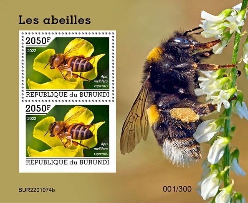 Burundi - 2022 Cape Honey Bee - 2 Stamp Souvenir Sheet - BUR2201074b