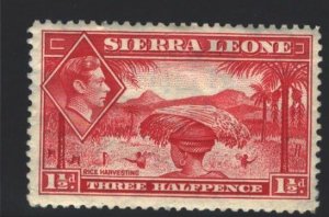 Sierra Leone Sc#175 MH - ugly paper adhesion reverse