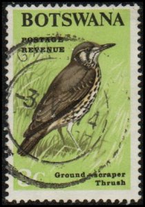 Botswana 21 - Used - 3c Ground Scraper Thrush (1967)