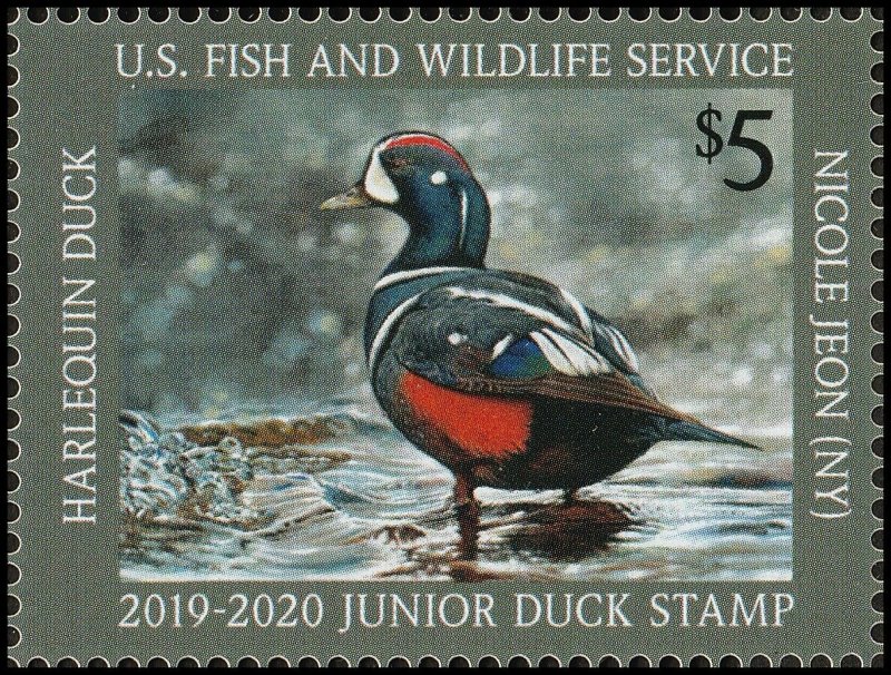 US JDS27 Junior Duck Harlequin $5 single (1 stamp) MNH 2019-2020