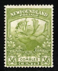 Newfoundland #126 Cat$37.50, 1919 36c olive green, lightly hinged