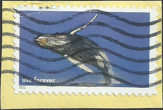 # 5713c Used National Marine Sanctuaries | United States, General Issue