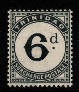 TRINIDAD SGD7 1885 6d SLATE-BLACK POSTAGE DUE MTD MINT