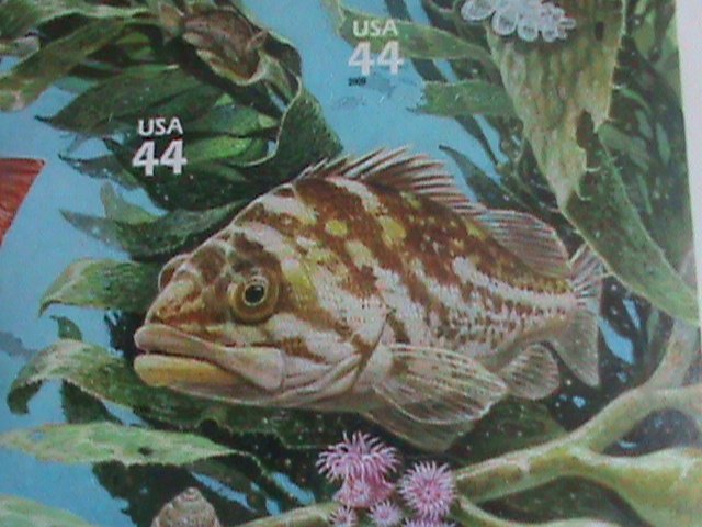 ​UNITED STATES-2009-SC#4423 KELP FOREST WILDLIFE- MNH FULL SHEET - VERY FINE