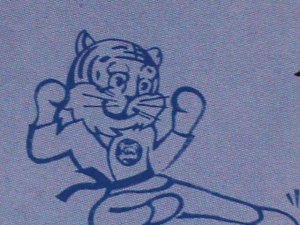 ​KOREA-1992 SC#3137 8TH WORLD TAEKWONDO CHAMPIONSHIPS-PYONGYANG- FANCY CANCEL