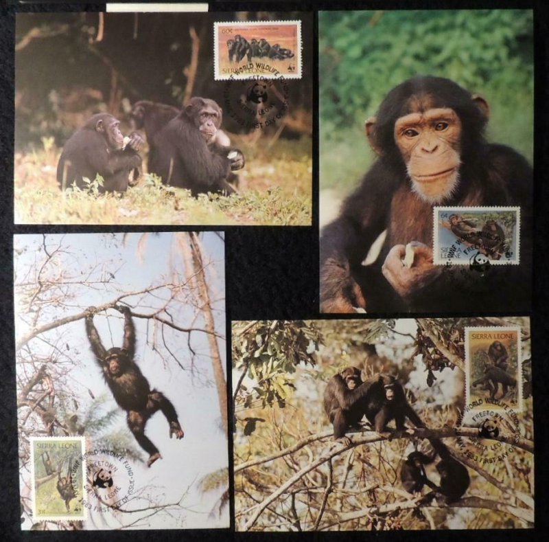 Sierra Leone 1983 WWF chimpanzees maxicard animals WWF apes mammals