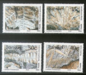 Transkei 1992 Fossils Marine Life Animals Sc 231-34 MNH # 4141