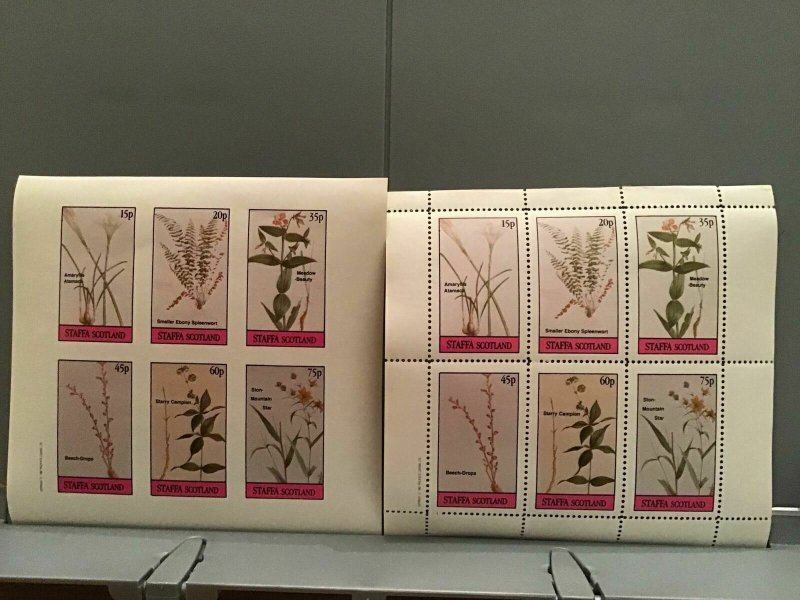 Staffa Scotland plants flowers Meadow Beauty MNH stamps R24078