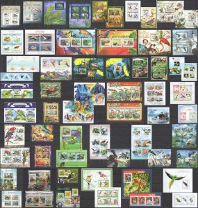 Eb183 Fauna Birds Big Collection Parrots Water Birds Bee Eaters ! 61 Sheets Mnh