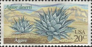 # 1943 USED AGAVE