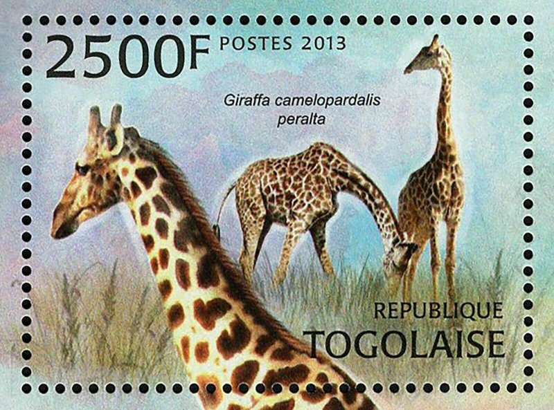 Giraffe Stamp Giraffa Camelopardalis Peralta Souvenir Sheet MNH #4835 / Bl.785 