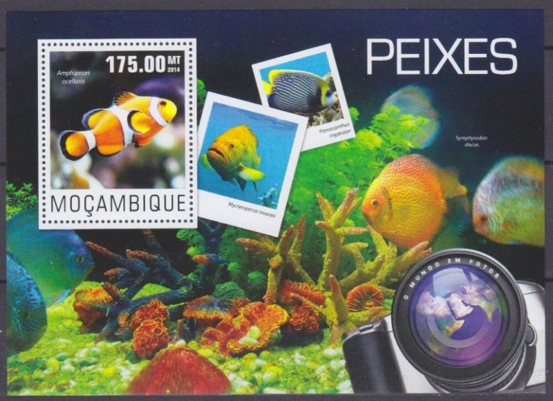 2014 Mozambique 7579/B955 Marine fauna 10,00 €