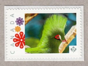 GREEN-CRESTED BUFFON'S TURACO =bird Picture Postage MNH Canada 2016 [p16/03-2tr3