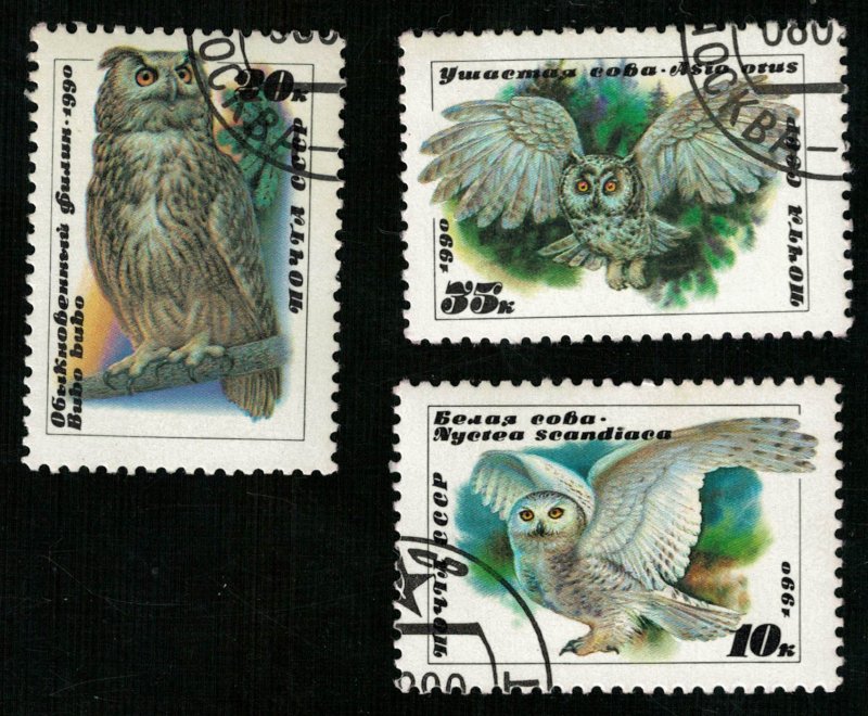 Birds, (3340-T)