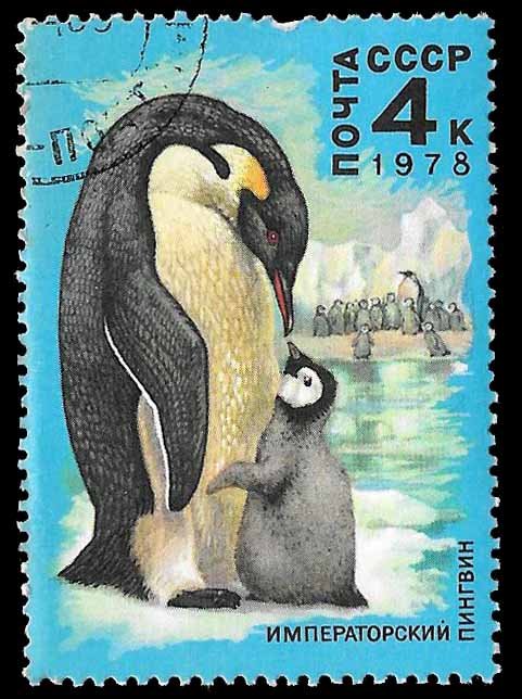 USSR SC 4681 * Emperor Penguin * CTO * 1978