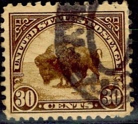 U.S.A.; 1923; Sc. # 569;  Used Perf. 11 Single Stamp