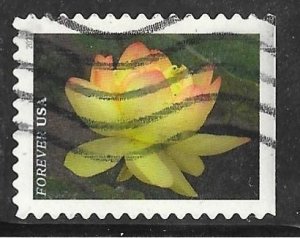 USA 5567: Yellow American Lotus, off paper, used, VF