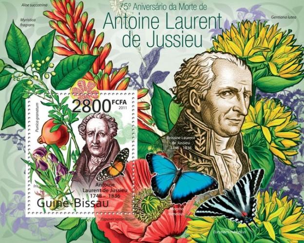 GUINE BISSAU 2011 SHEET ANTOINE LAURENT DE JUSSIEU BUTTERFLIES FLOWERS PAPILLONS