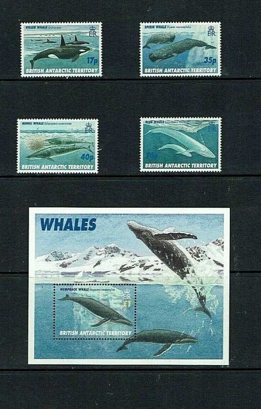 British Antarctic Territory: 1996 Whales, MNH set + M/S