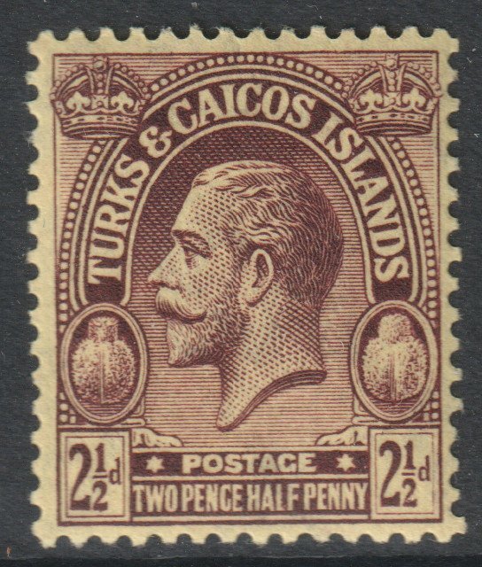 Turks Caicos Scott 49 - SG167, 1922 George V 2.1/2d MH*