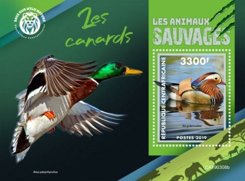 Central Africa - 2019 Wild Animals Ducks - Stamp Souvenir Sheet - CA190308b