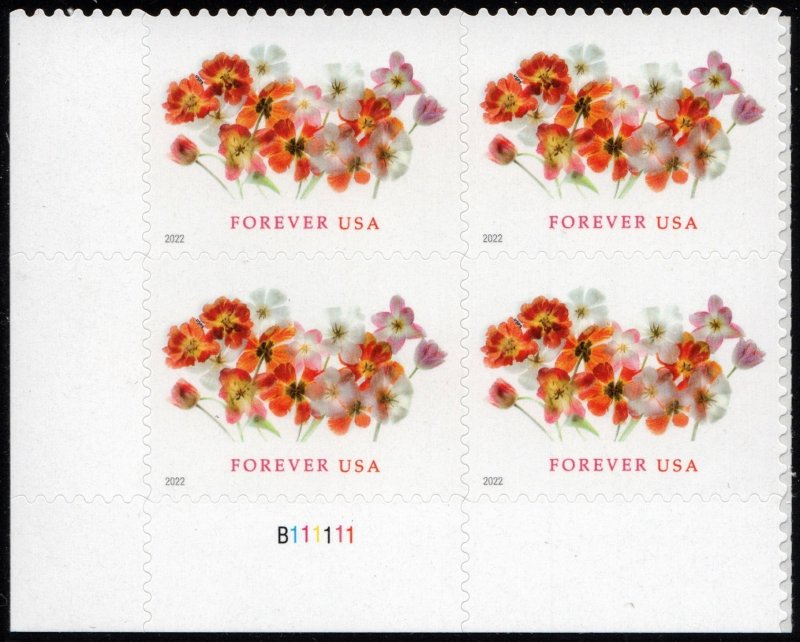 NEW ISSUE (Forever) Tulips Plate Block: LL #B111111 (2022) SA