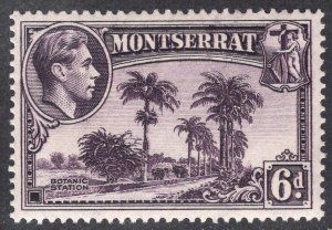 MONTSERRAT SCOTT 98