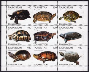 Tajikistan 1999 TURTLES Sheetlet (9) Perforated MNH