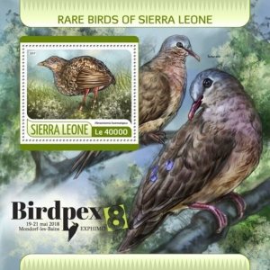 Sierra Leone - 2017 Rare Birds - Stamp Souvenir Sheet - SRL17620b