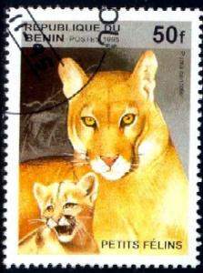 Puma, Felis Concolor, Benin stamp SC#817 used