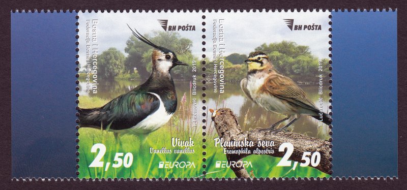 Bosnia Sarajevo 2019 National Birds Europa Animals Fauna Pewit Horned lark MNH