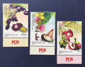 Malaysia 2018 Medicinal Plants 4th Series set of 3V with bottom margin MNH