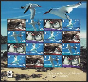 Ascension WWF Red-billed Tropicbird Sheetlet of 16v 2011 MNH SG#1113a-1116a