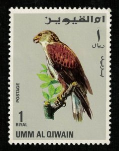 Birds - Falcons 1 Riyal 1968 (T-5185)