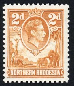 Northern Rhodesia SG31 2d Yellow Brown Fine U/M Cat 50 Pounds