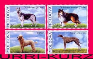 MOLDOVA 2006 Fauna Domestic Farm Animals Pets Dogs 4v Sc539-542 Mi565-568 MNH