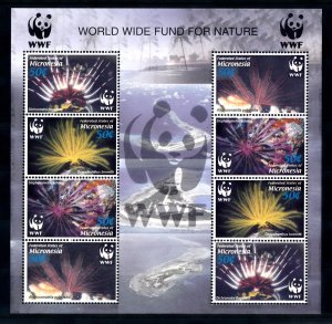 [53906] Micronesia 2005 Marine life feather stars WWF Souvenir Sheet MNH