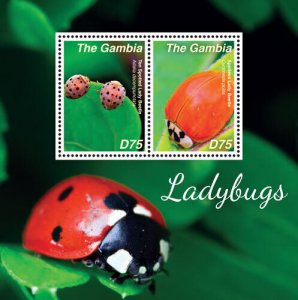 Gambia 2014 - Ladybugs - Souvenir stamp sheet - Scott #3583 - MNH