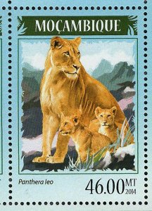 Lions Leopards Stamp Panthera Pardus Panthera Leo S/S MNH #7370-7373