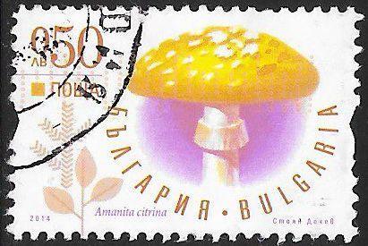 Bulgaria 4663 Used - ‭Mushrooms - False Death Cap (‭Amanita citrina)