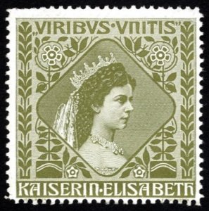 1908 Austria Poster Stamp Kaiserin Elisabeth To Combat Tuberculosis In Childhood