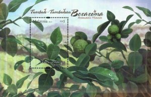 *FREE SHIP Malaysia Aromatic Plants 2012 Fruit (MS) MNH *Unusual *scented Smell