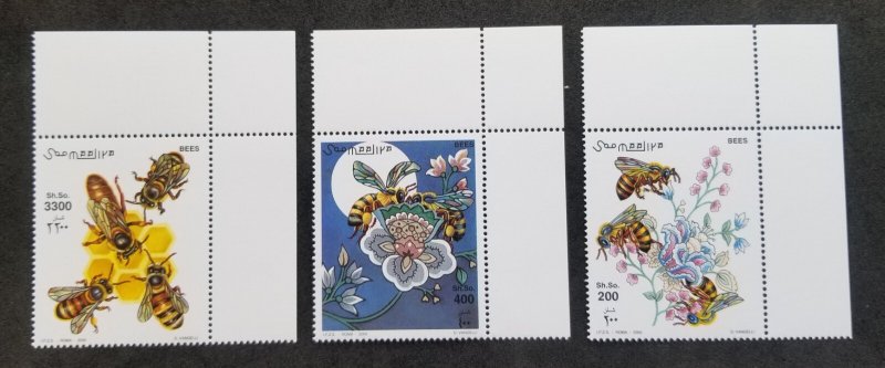 *FREE SHIP Somalia Honeybee 2000 Honey Bee Insect Flowers (stamp margin) MNH
