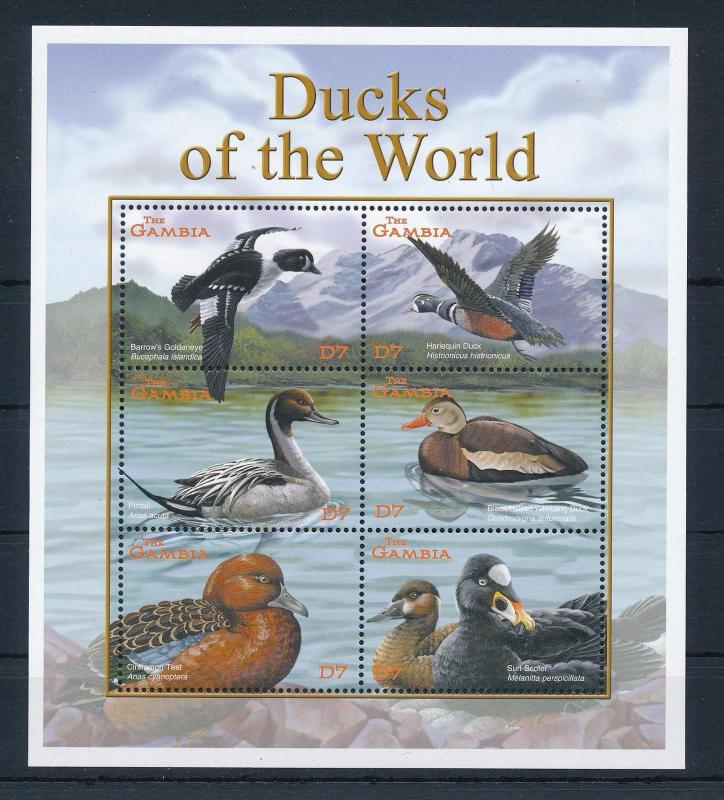 [31884] Gambia 2001 Birds Vögel Oiseaux Ucelli  Ducks MNH Sheet